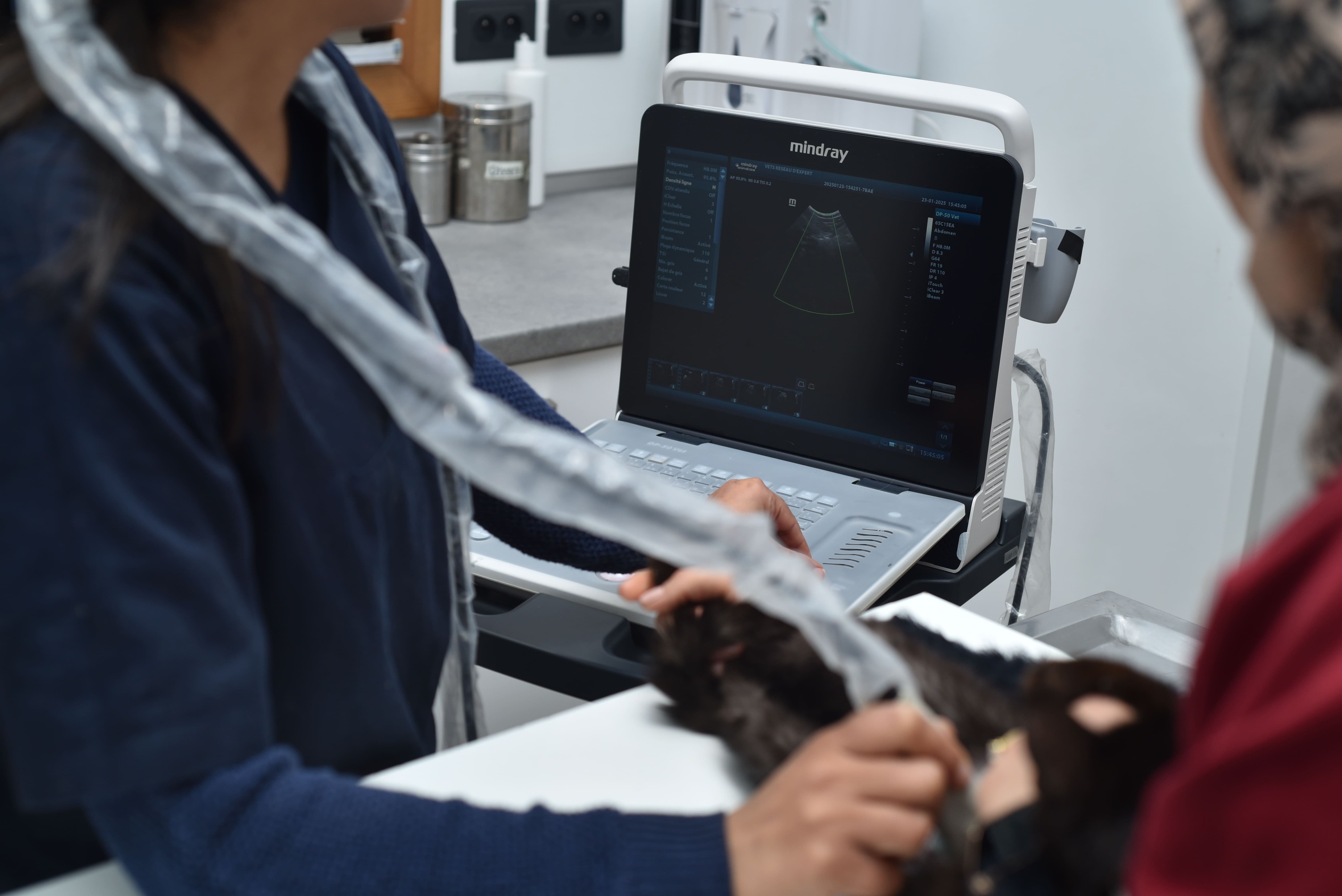 écographie-veterinaire-tunis