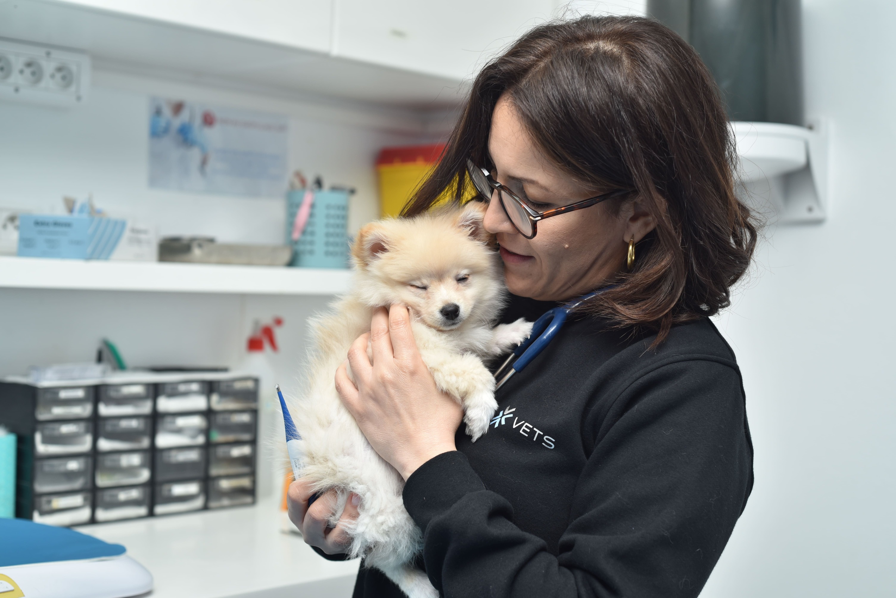 vaccination-chien-tunis